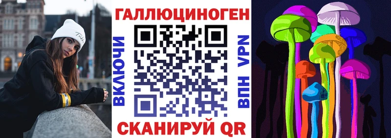 Псилоцибиновые грибы GOLDEN TEACHER  Купить закладки  Чудово 